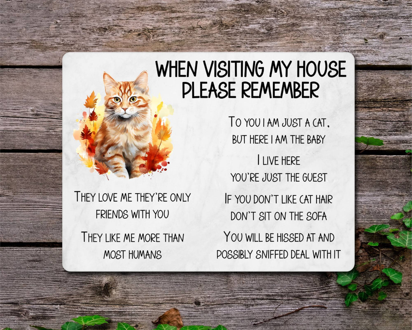Ginger Cat Metal Sign Gift - When Visiting My House Please Remember - Cute Fun Novelty Animal Aluminium Present
