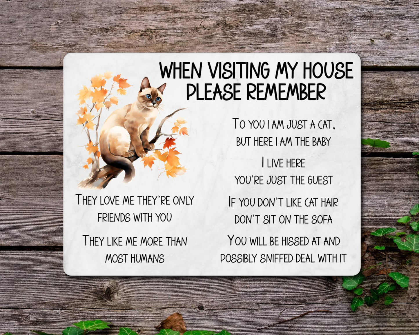 Siamese Cat Metal Sign Gift - When Visiting My House Please Remember - Cute Fun Novelty Animal Aluminium Present