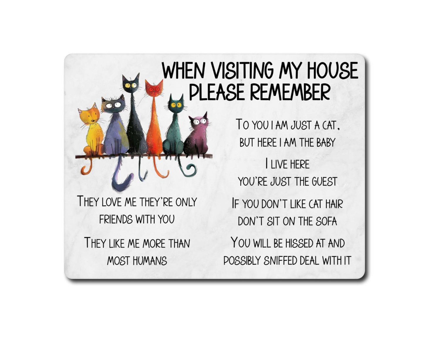 Cat Metal Sign Gift - When Visiting My House Please Remember - Cute Fun Novelty Animal Aluminium Present