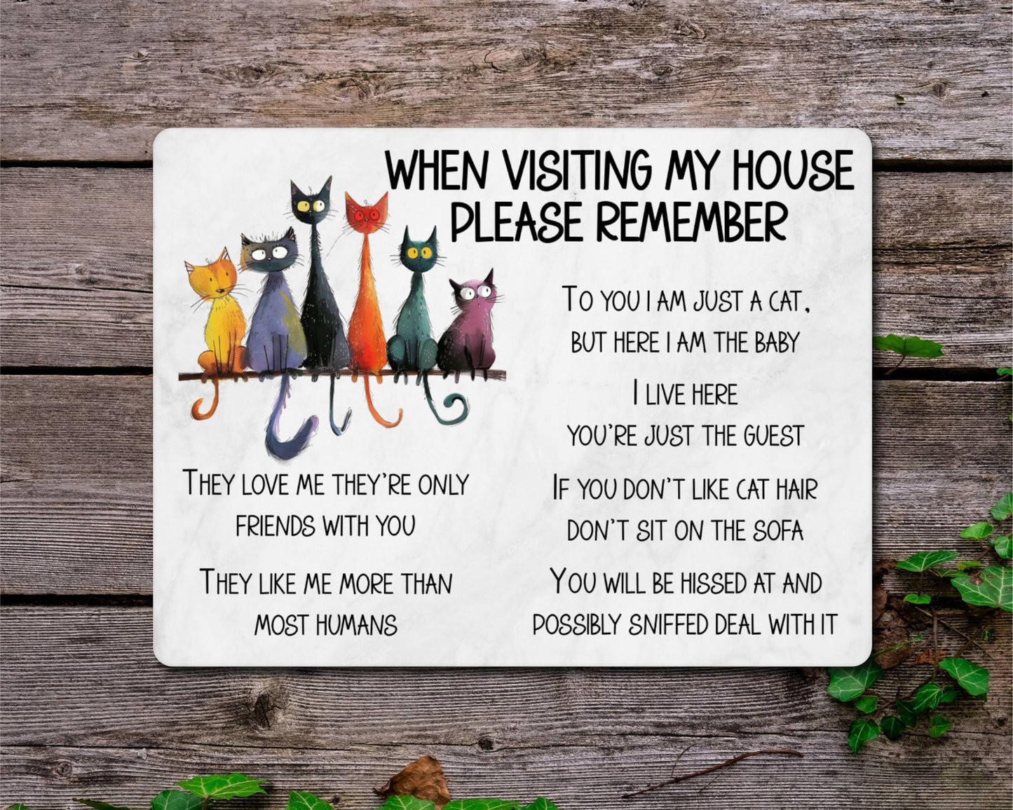 Cat Metal Sign Gift - When Visiting My House Please Remember - Cute Fun Novelty Animal Aluminium Present