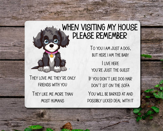 Jackapoo Metal Sign Gift - When Visiting My House Please Remember - Cute Fun Novelty Animal Aluminium Present