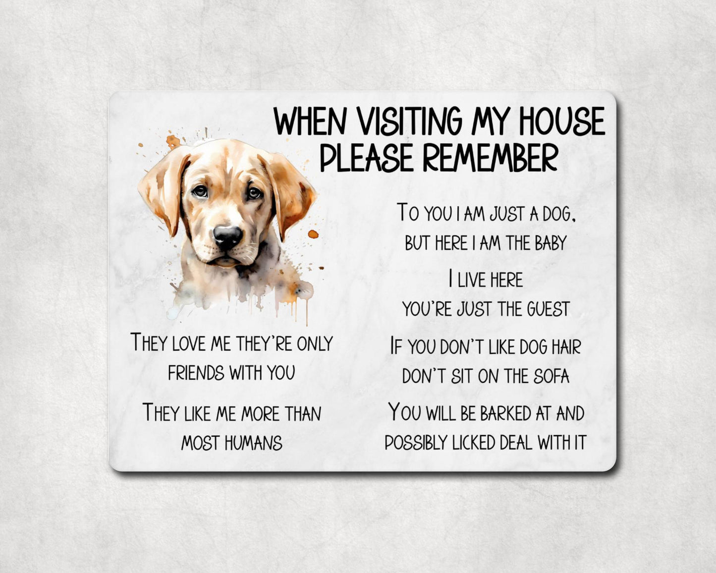 Labrador Metal Sign Gift - When Visiting My House Please Remember - Cute Fun Novelty Animal Aluminium Present