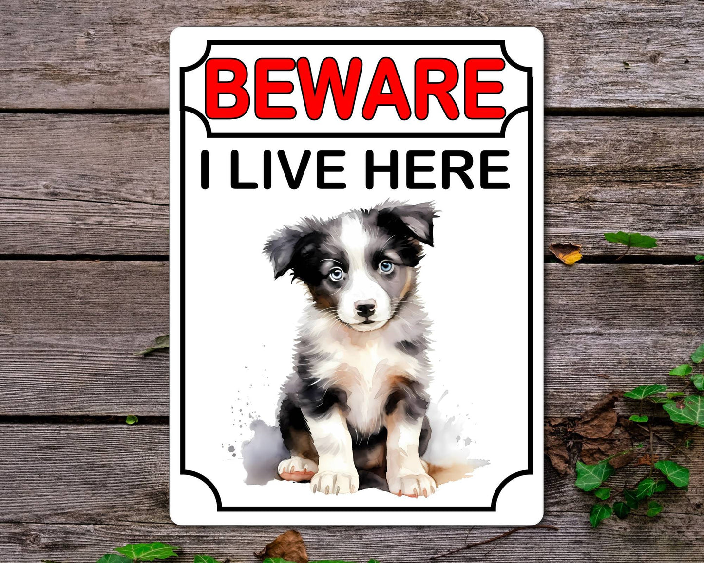 Border Collie Metal Sign Gift - Beware I Live Here - Cute Fun Novelty Animal Aluminium Present