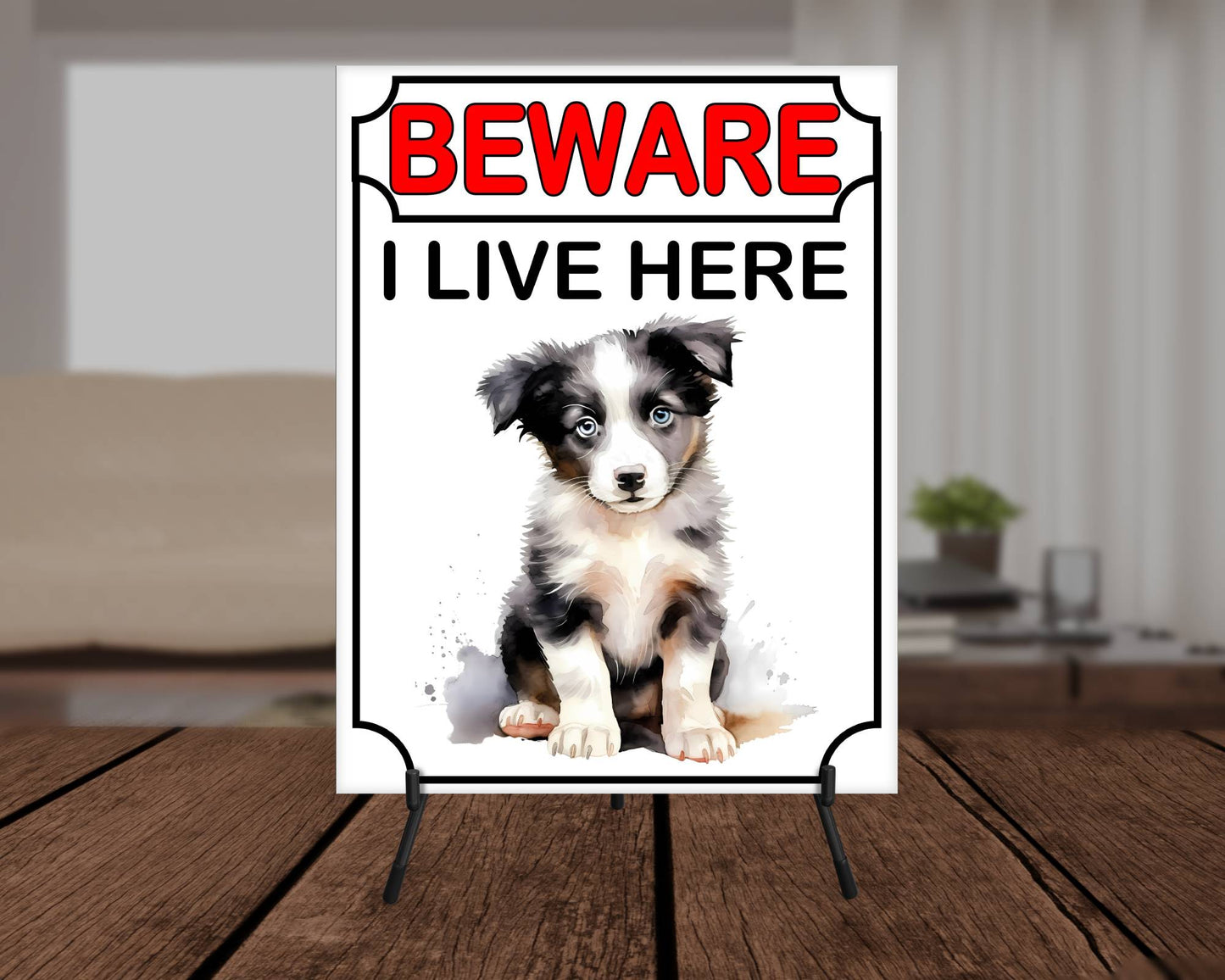 Border Collie Metal Sign Gift - Beware I Live Here - Cute Fun Novelty Animal Aluminium Present