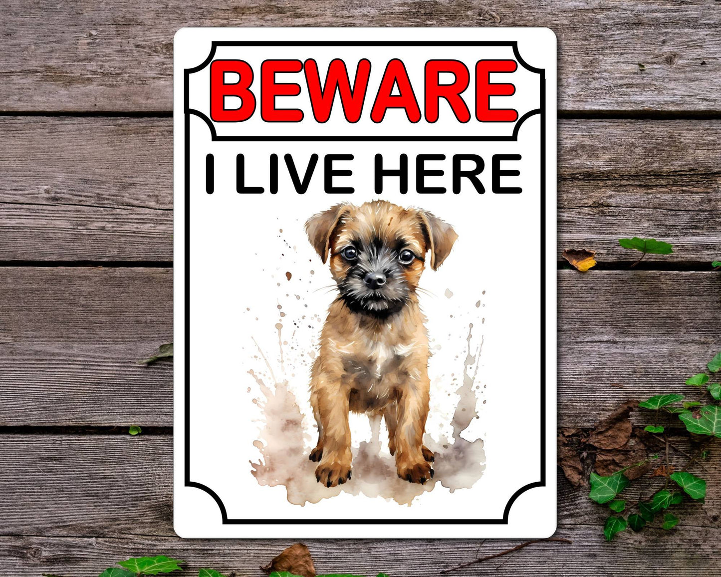 Border Terrier Metal Sign Gift - Beware I Live Here - Cute Fun Novelty Animal Aluminium Present