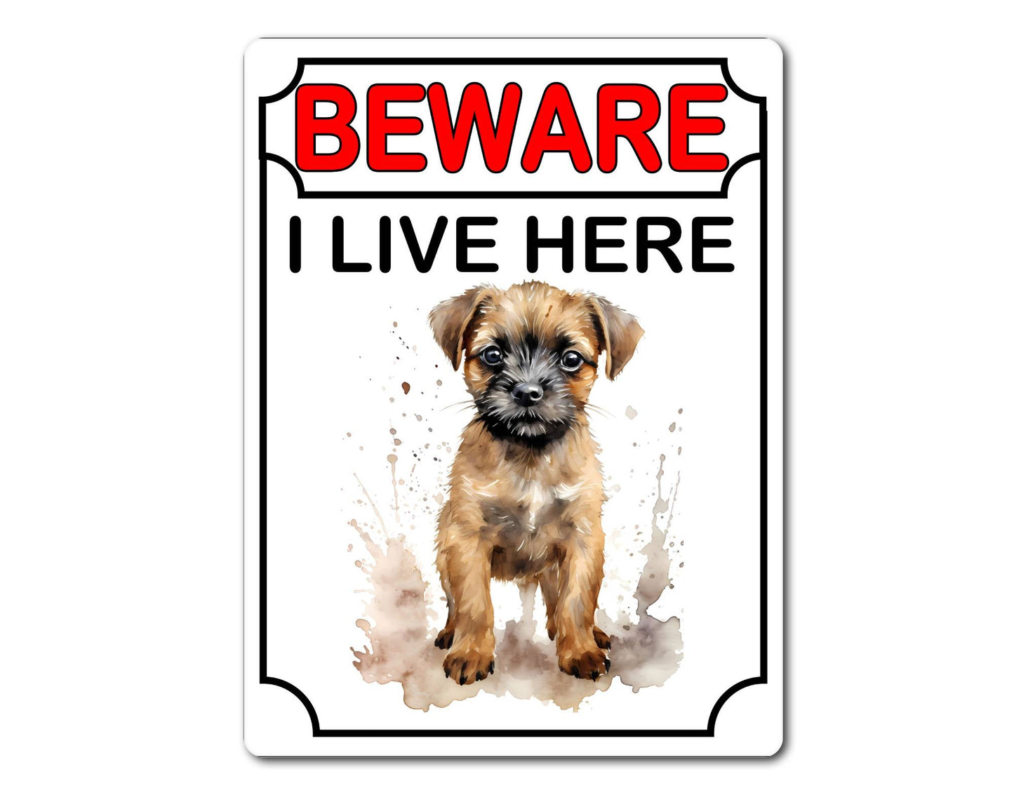 Border Terrier Metal Sign Gift - Beware I Live Here - Cute Fun Novelty Animal Aluminium Present
