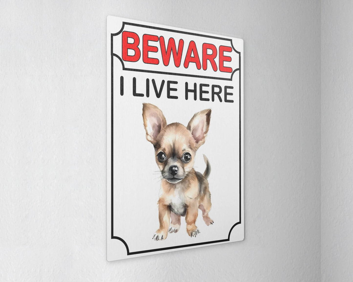 Chihuahua Metal Sign Gift - Beware I Live Here - Cute Fun Novelty Animal Aluminium Present