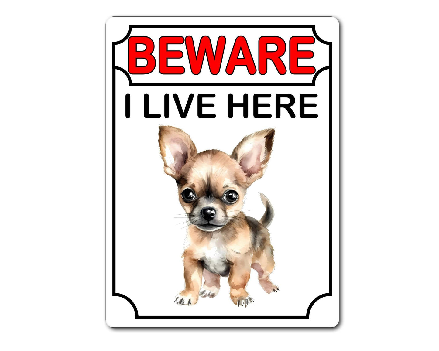 Chihuahua Metal Sign Gift - Beware I Live Here - Cute Fun Novelty Animal Aluminium Present