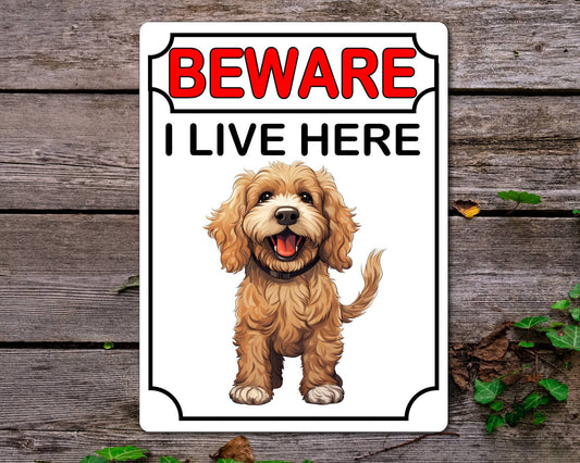 Cockapoo Metal Sign Gift - Beware I Live Here - Cute Fun Novelty Animal Aluminium Present