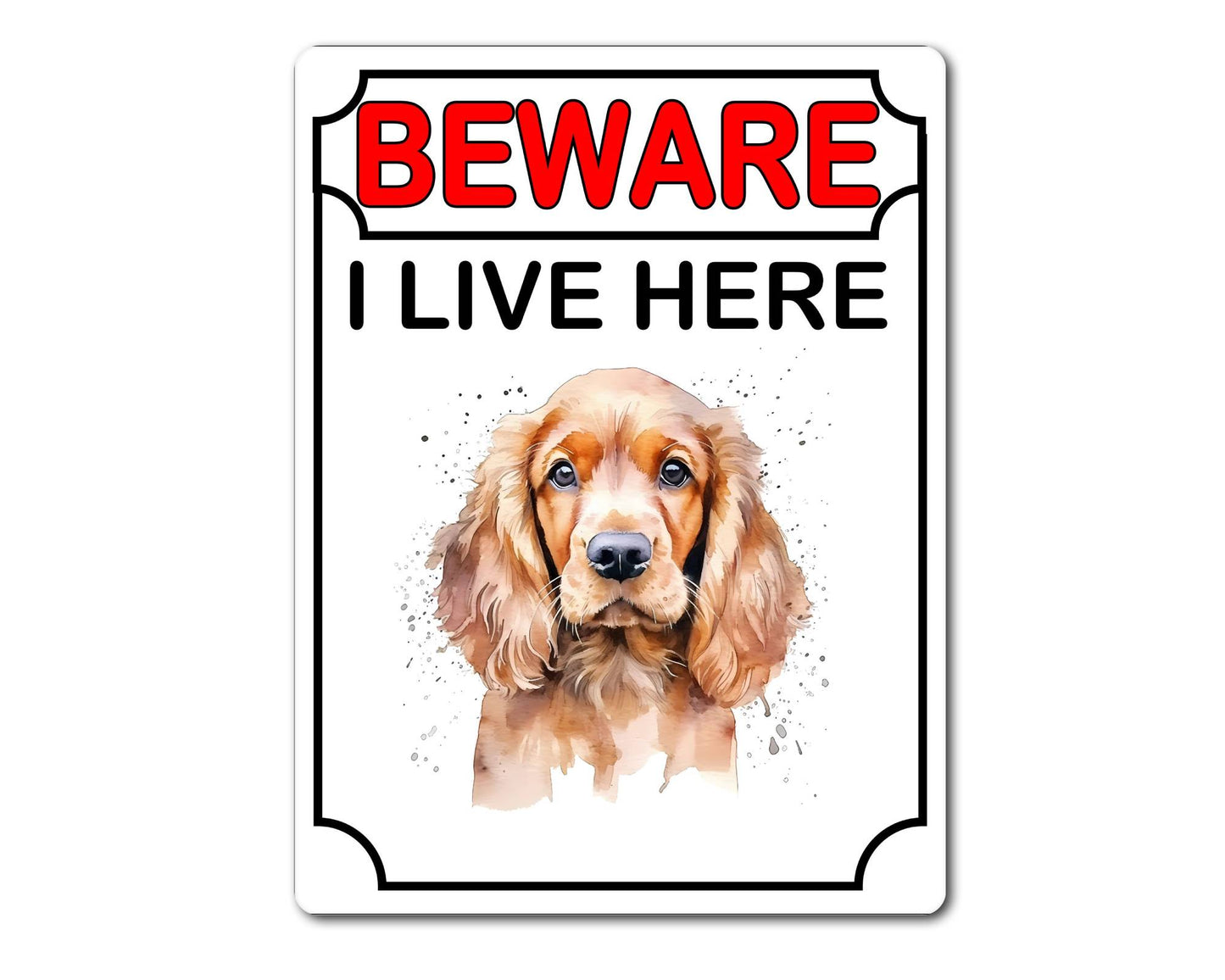 Cocker Spaniel Metal Sign Gift - Beware I Live Here - Cute Fun Novelty Animal Aluminium Present