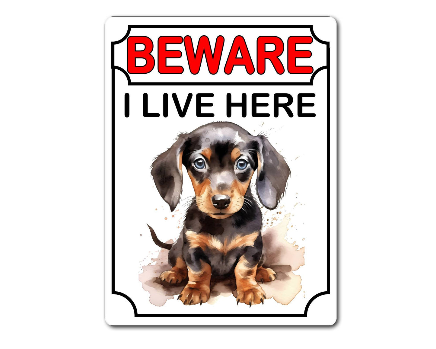 Dachshund Metal Sign Gift - Beware I Live Here - Cute Fun Novelty Animal Aluminium Present