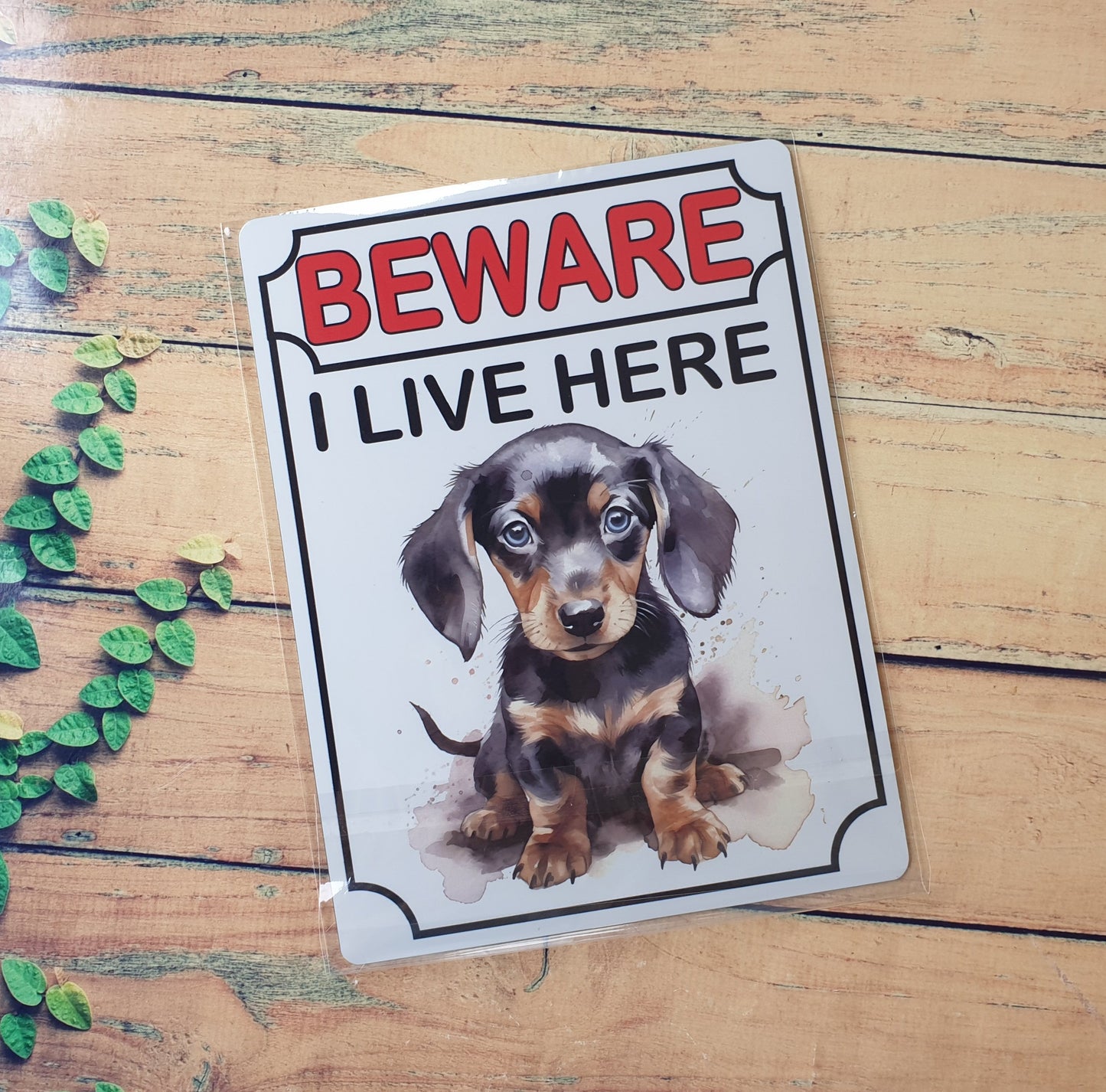 Dachshund Metal Sign Gift - Beware I Live Here - Cute Fun Novelty Animal Aluminium Present