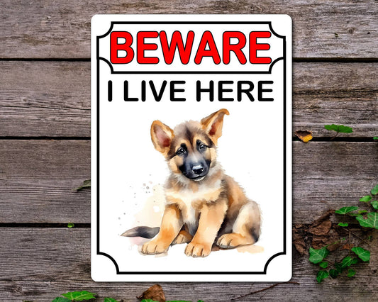 German Shepherd Metal Sign Gift - Beware I Live Here - Cute Fun Novelty Animal Aluminium Present