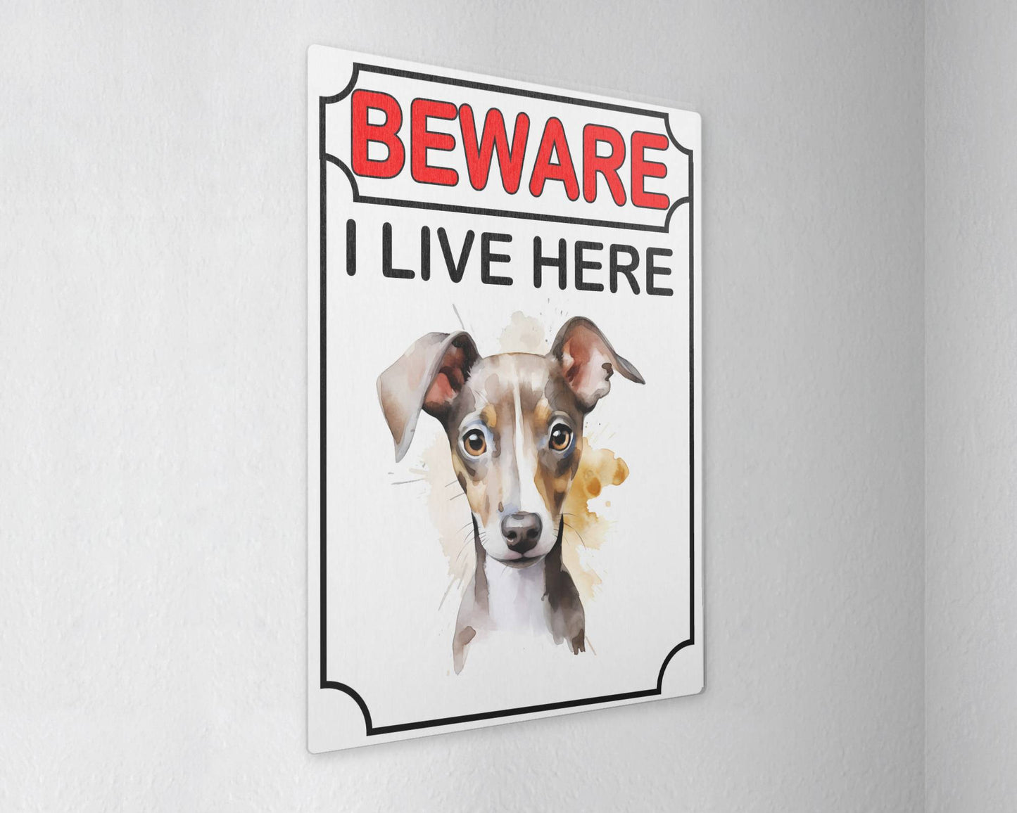 Greyhound Metal Sign Gift - Beware I Live Here - Cute Fun Novelty Animal Aluminium Present