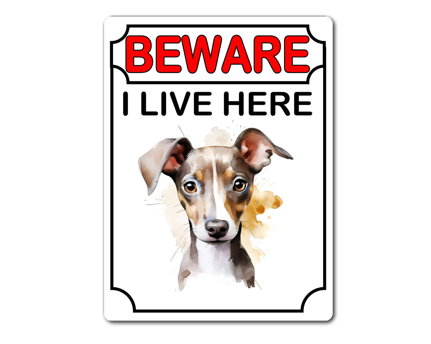 Greyhound Metal Sign Gift - Beware I Live Here - Cute Fun Novelty Animal Aluminium Present