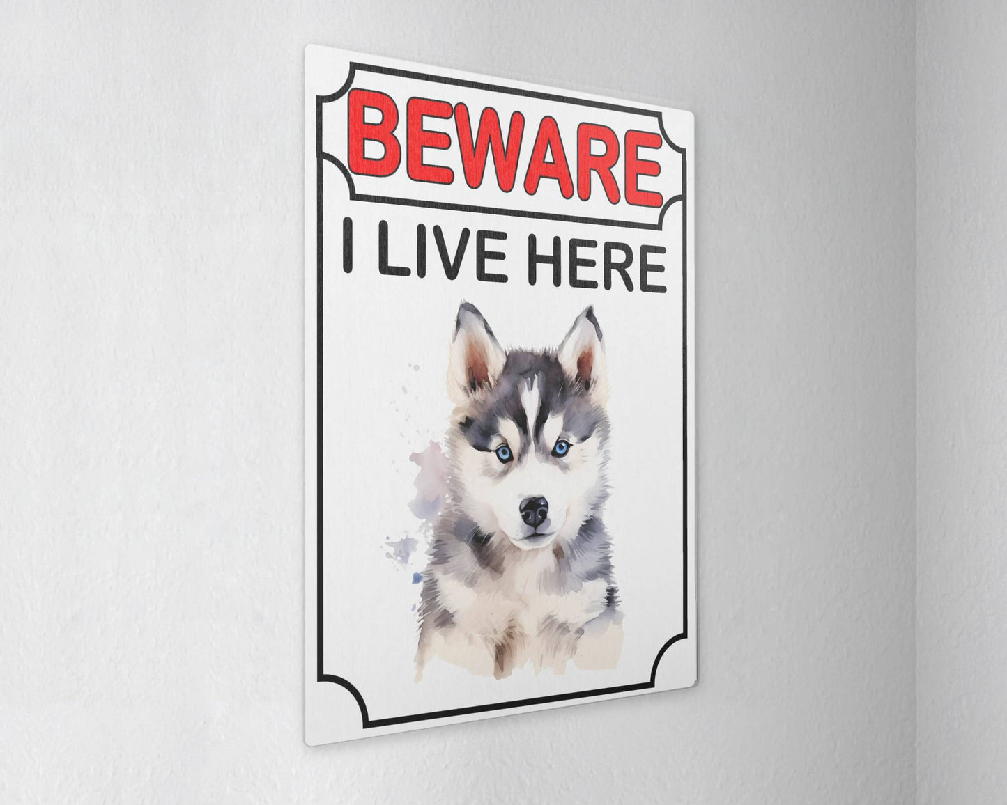 Husky Metal Sign Gift - Beware I Live Here - Cute Fun Novelty Animal Aluminium Present
