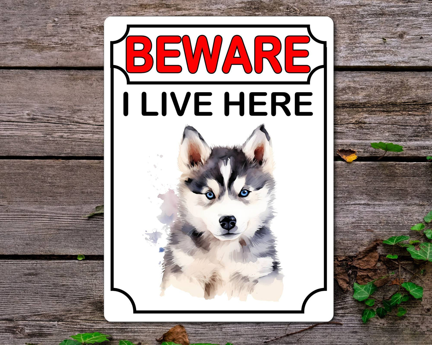 Husky Metal Sign Gift - Beware I Live Here - Cute Fun Novelty Animal Aluminium Present