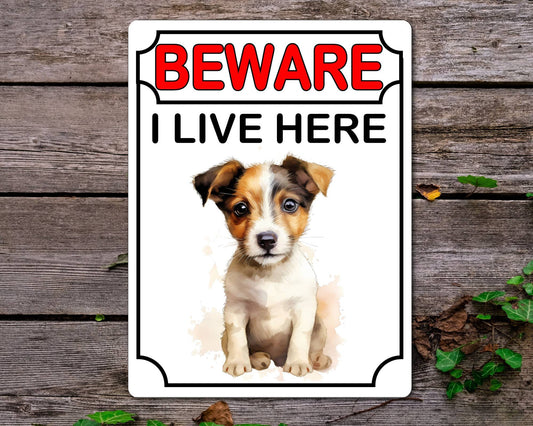 Jack Russell Metal Sign Gift - Beware I Live Here - Cute Fun Novelty Animal Aluminium Present