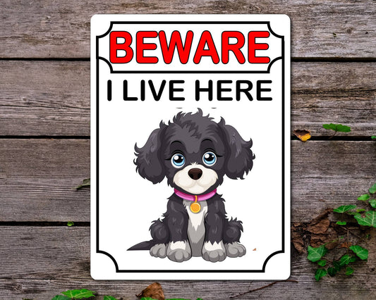Jackapoo Metal Sign Gift - Beware I Live Here - Cute Fun Novelty Animal Aluminium Present