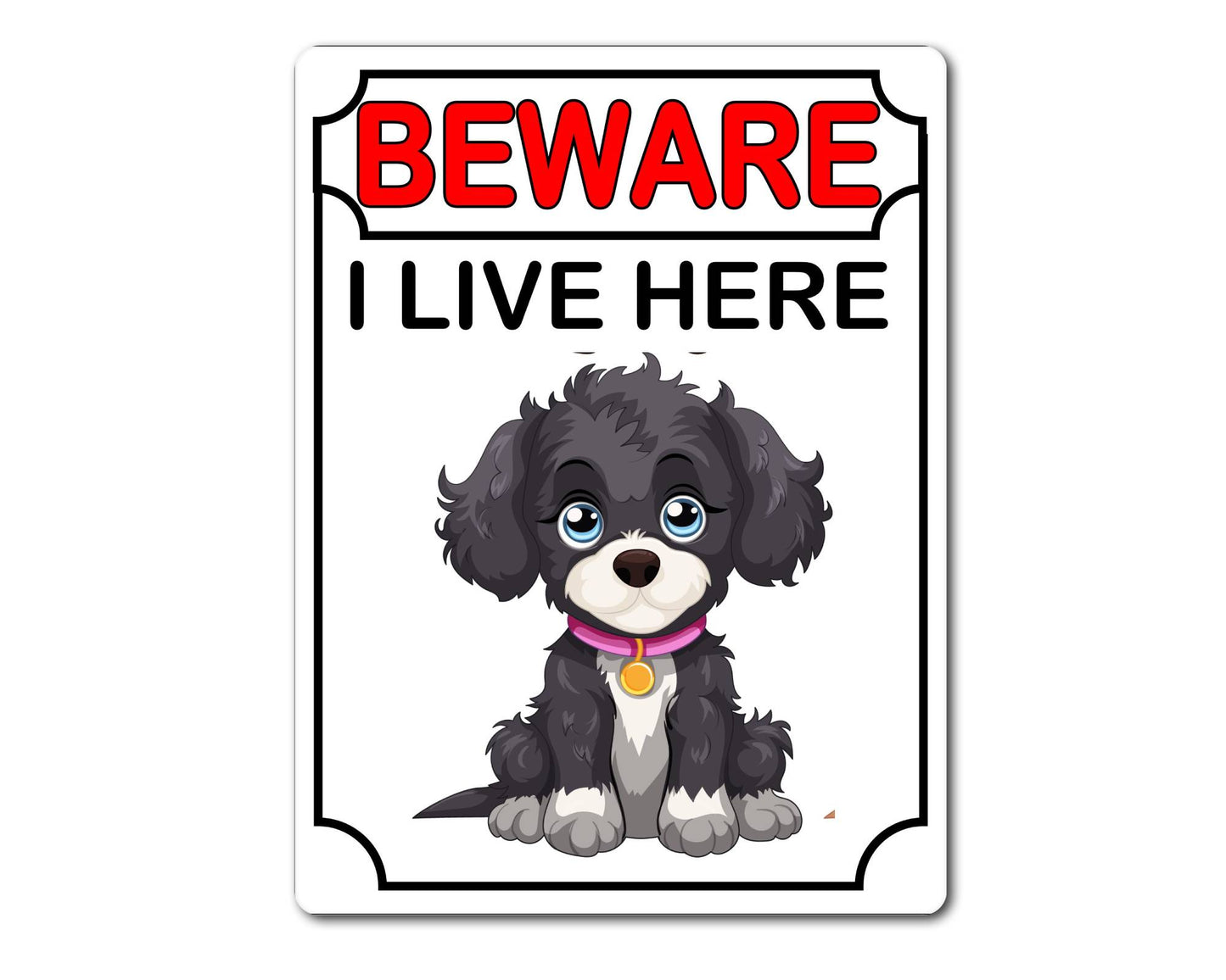 Jackapoo Metal Sign Gift - Beware I Live Here - Cute Fun Novelty Animal Aluminium Present