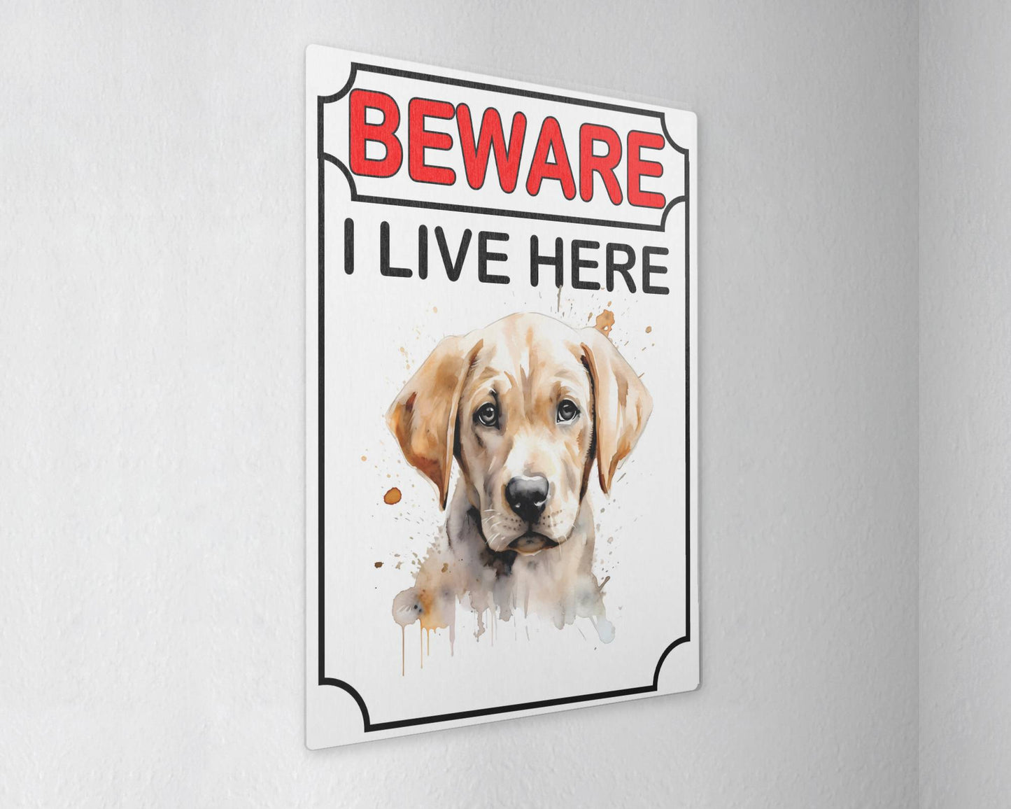 Labrador Metal Sign Gift - Beware I Live Here - Cute Fun Novelty Animal Aluminium Present