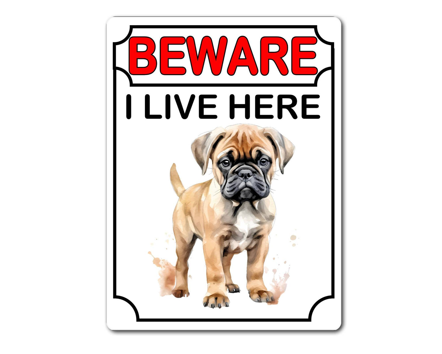 Mastiff Metal Sign Gift - Beware I Live Here - Cute Fun Novelty Animal Aluminium Present