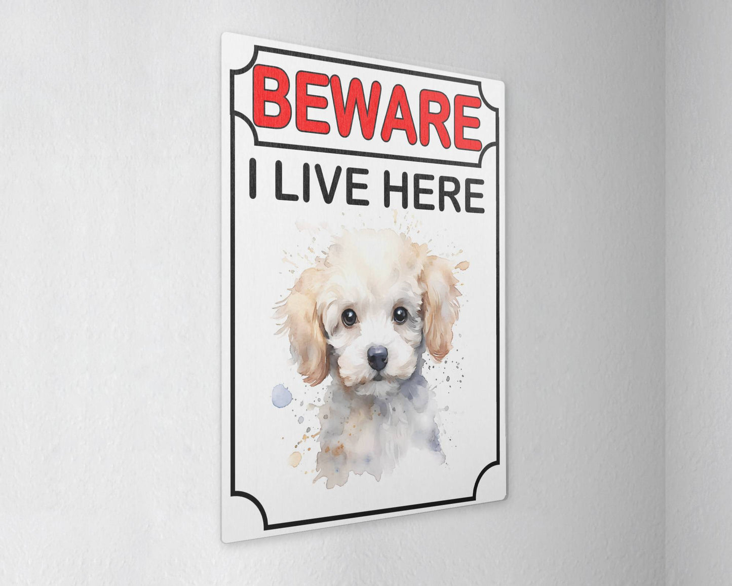 Poodle Metal Sign Gift - Beware I Live Here - Cute Fun Novelty Animal Aluminium Present