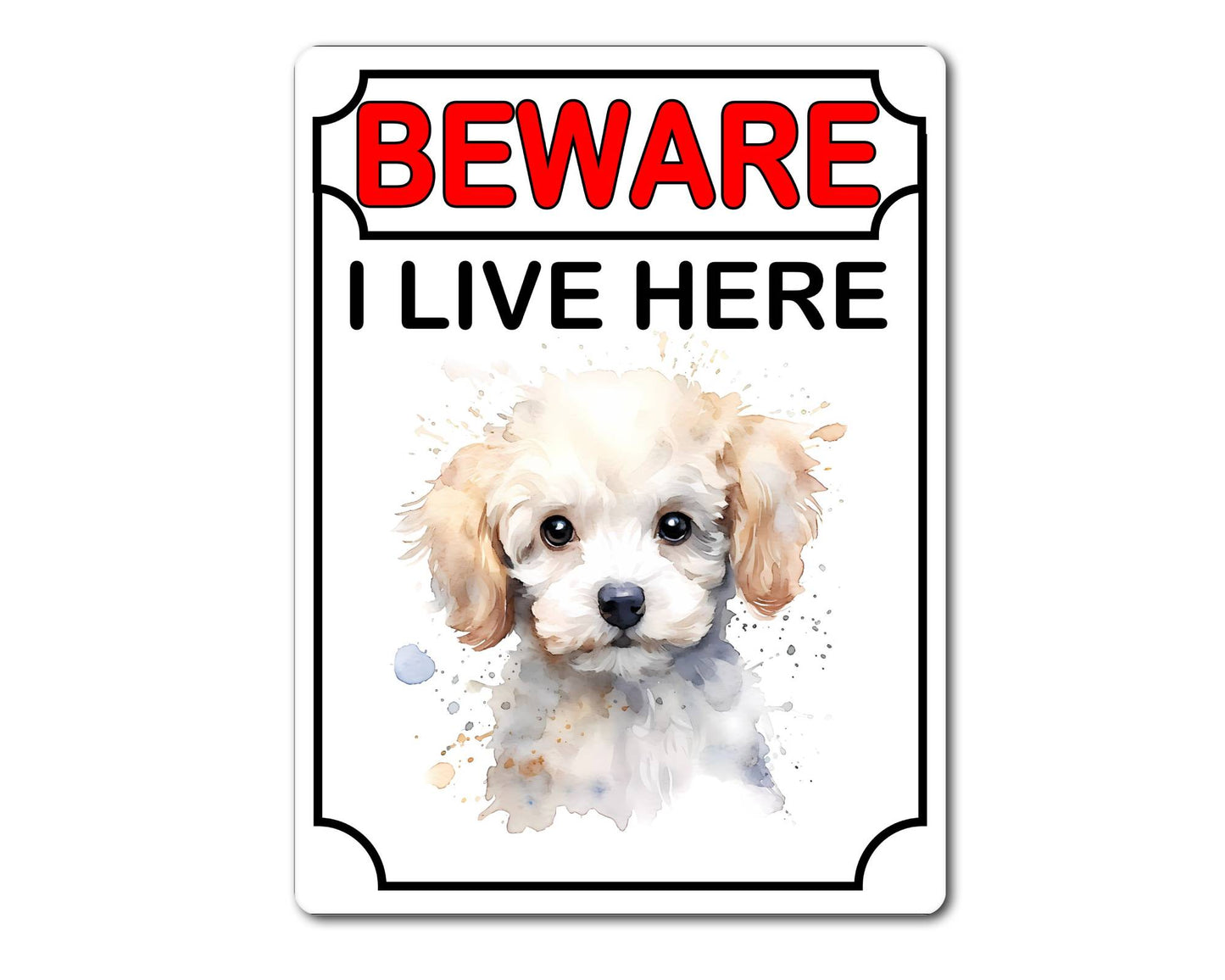 Poodle Metal Sign Gift - Beware I Live Here - Cute Fun Novelty Animal Aluminium Present
