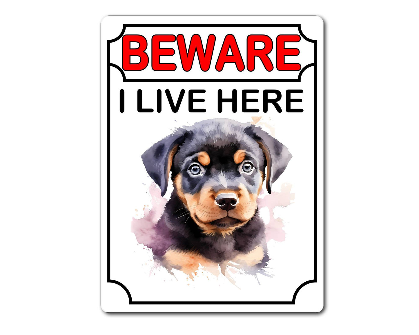 Rottweiler Metal Sign Gift - Beware I Live Here - Cute Fun Novelty Animal Aluminium Present