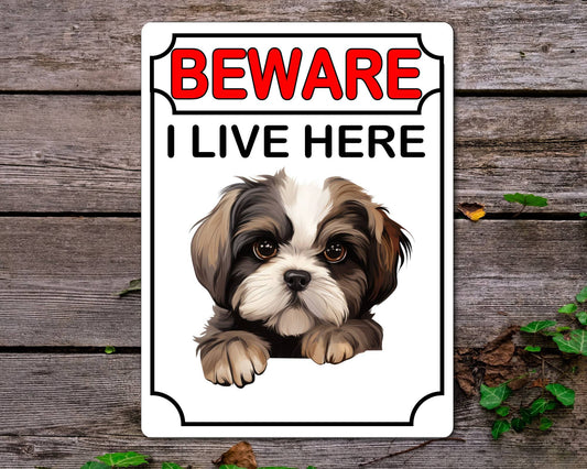 Shih Tzu Metal Sign Gift - Beware I Live Here - Cute Fun Novelty Animal Aluminium Present