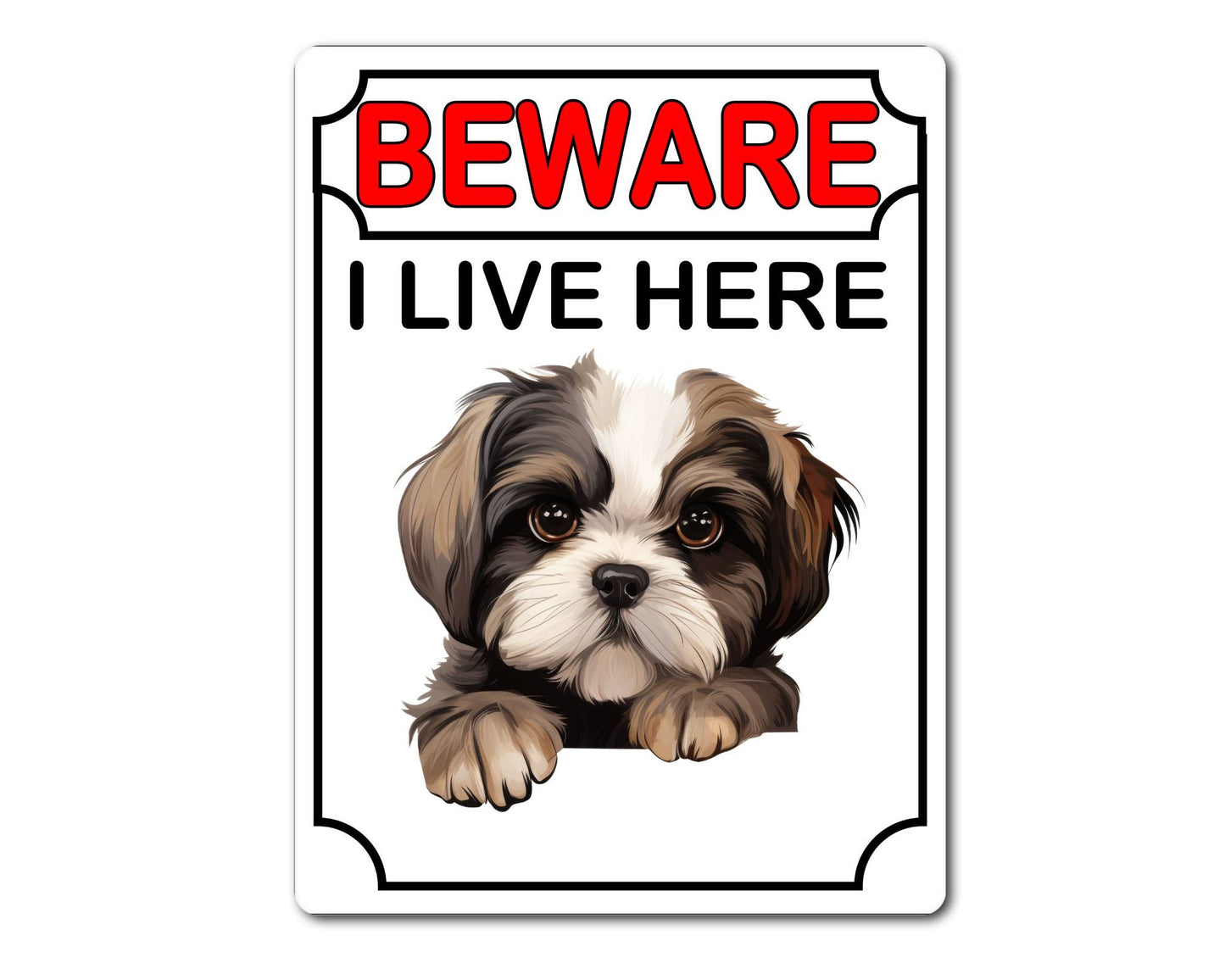 Shih Tzu Metal Sign Gift - Beware I Live Here - Cute Fun Novelty Animal Aluminium Present
