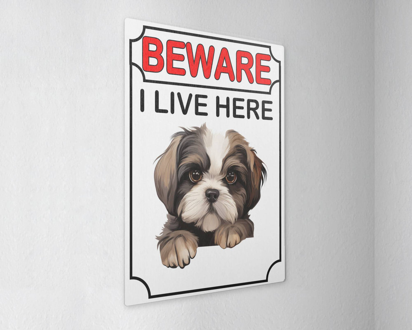 Shih Tzu Metal Sign Gift - Beware I Live Here - Cute Fun Novelty Animal Aluminium Present