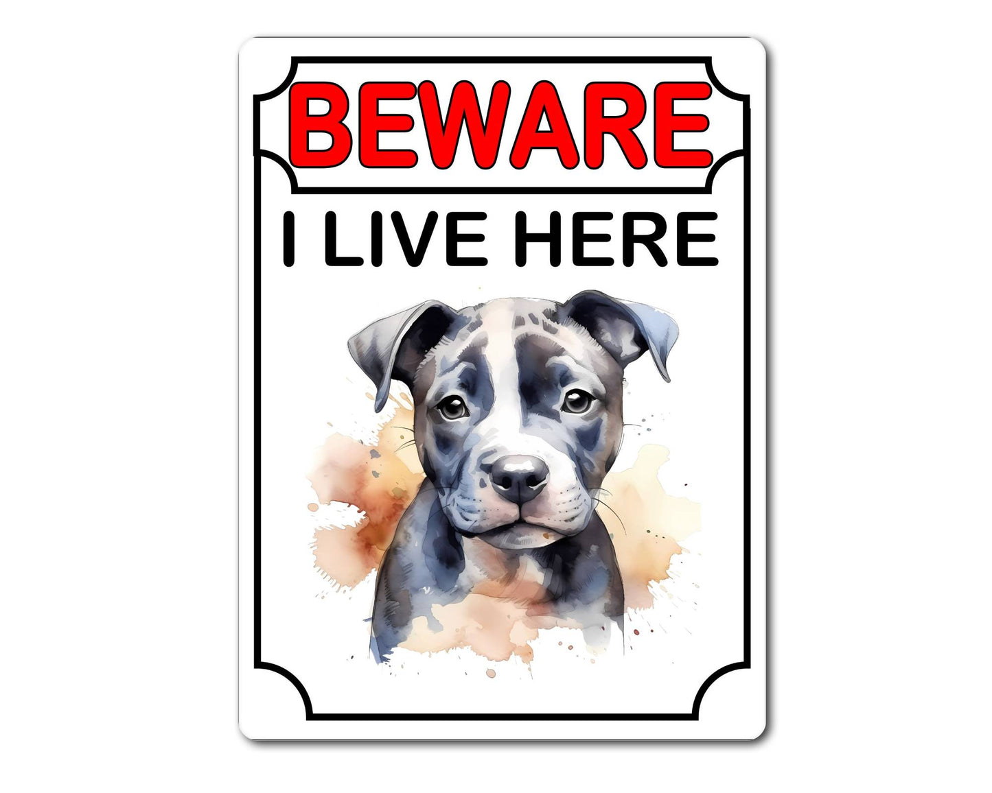 Staffie Metal Sign Gift - Beware I Live Here - Cute Fun Novelty Animal Aluminium Present