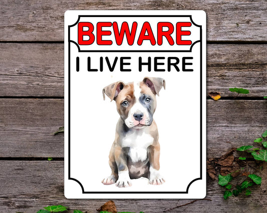 Staffy Metal Sign Gift - Beware I Live Here - Cute Fun Novelty Animal Aluminium Present