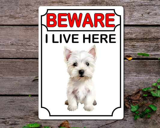 Westie Metal Sign Gift - Beware I Live Here - Cute Fun Novelty Animal Aluminium Present