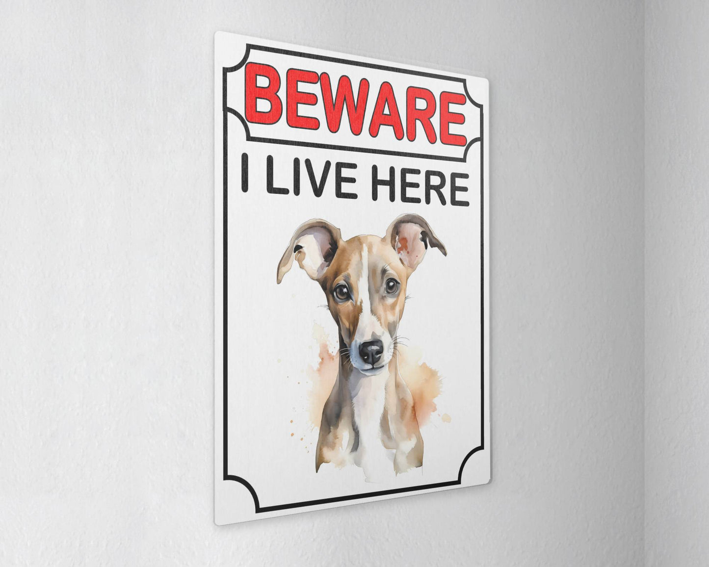Whippet Metal Sign Gift - Beware I Live Here - Cute Fun Novelty Animal Aluminium Present
