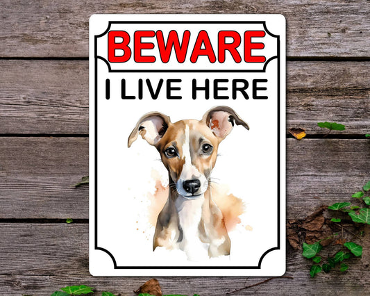 Whippet Metal Sign Gift - Beware I Live Here - Cute Fun Novelty Animal Aluminium Present