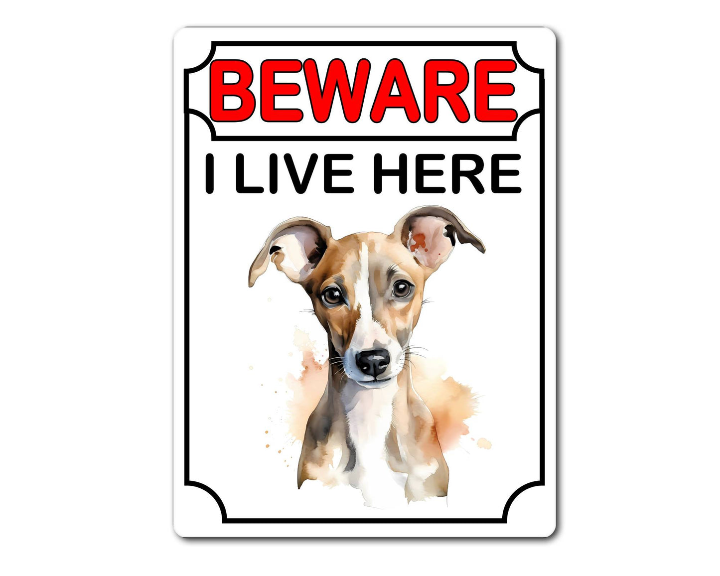 Whippet Metal Sign Gift - Beware I Live Here - Cute Fun Novelty Animal Aluminium Present