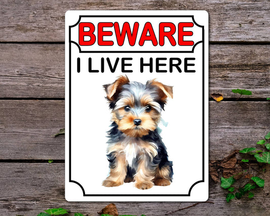 Yorkshire Terrier Metal Sign Gift - Beware I Live Here - Cute Fun Novelty Animal Aluminium Present
