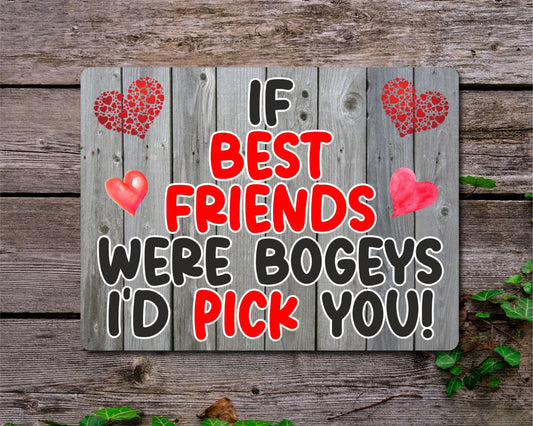 Best Friend Metal Sign Gift - If Best Friends Were Bogeys I'd Pick You - Cute Fun Novelty Aluminium Present