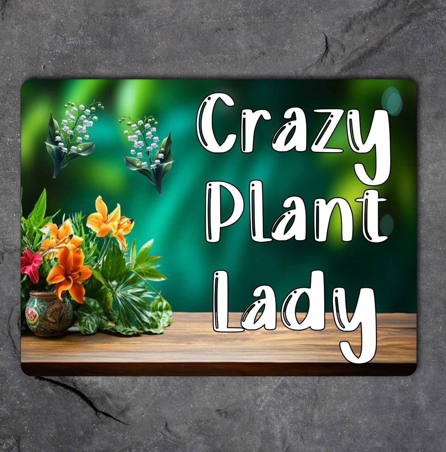 Garden Metal Sign Gift - Crazy Plant Lady - Cute Fun Novelty Family Aluminium Present