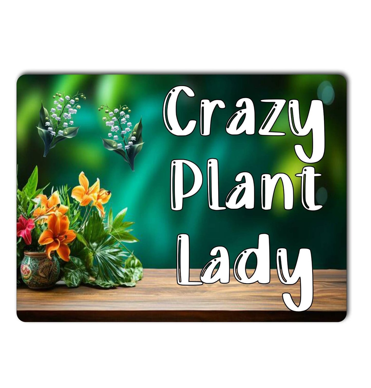 Garden Metal Sign Gift - Crazy Plant Lady - Cute Fun Novelty Family Aluminium Present