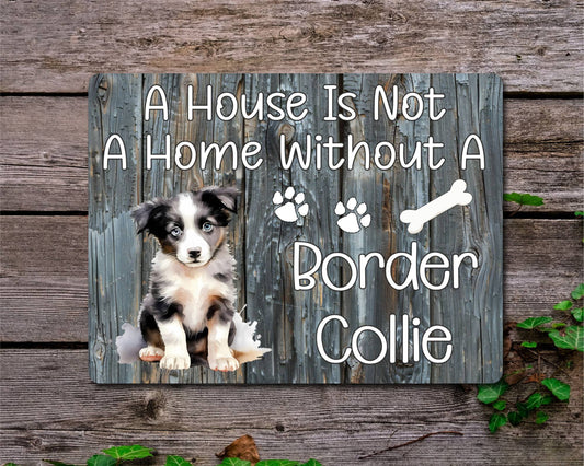 Dog Metal Sign Gift - A House Is Not A Home Without A Border Collie - Cute Fun Novelty Family Pet Aluminium Present