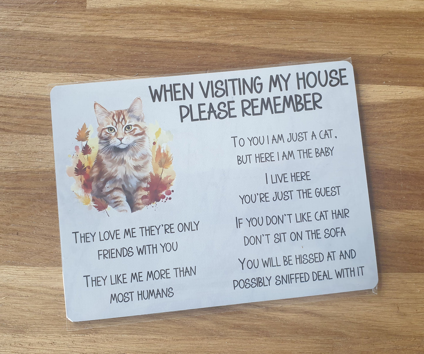 Ginger Cat Metal Sign Gift - When Visiting My House Please Remember - Cute Fun Novelty Animal Aluminium Present