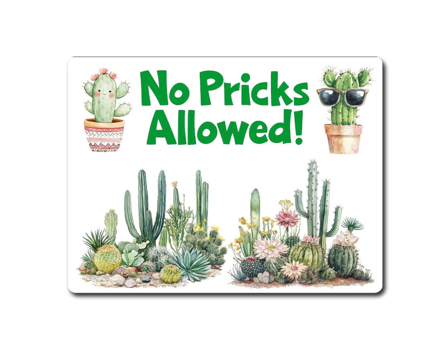 Allotment Metal Sign Gift - No Pricks Allowed - Cute Fun Novelty Family Garden Cactus Aluminium Present