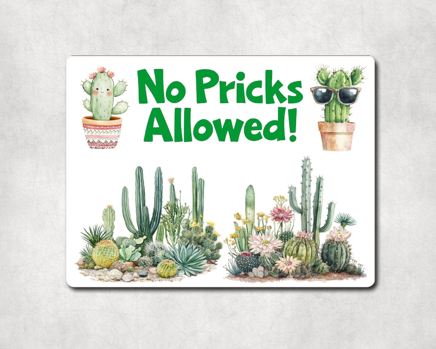 Allotment Metal Sign Gift - No Pricks Allowed - Cute Fun Novelty Family Garden Cactus Aluminium Present