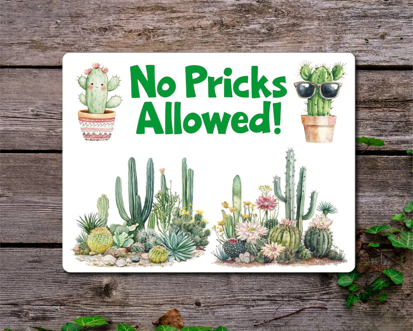 Allotment Metal Sign Gift - No Pricks Allowed - Cute Fun Novelty Family Garden Cactus Aluminium Present