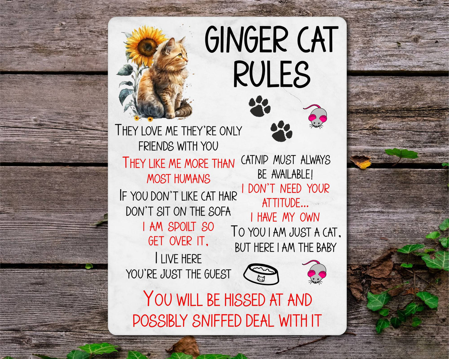 Kitten Metal Sign Gift - Ginger Cat Rules - I Live Here You're Just The Guest - Cute Fun Novelty Family Pet Aluminium Present