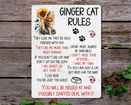Kitten Metal Sign Gift - Ginger Cat Rules - I Live Here You're Just The Guest - Cute Fun Novelty Family Pet Aluminium Present