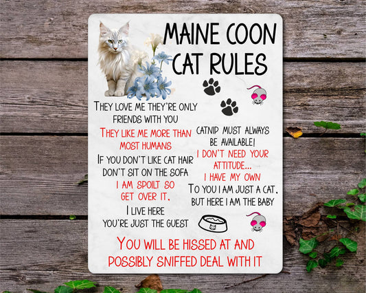 Kitten Metal Sign Gift - Maine Coon Cat Rules - I Live Here You're Just The Guest - Cute Fun Novelty Family Pet Aluminium Present